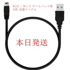 WiiU / Wii U ゲームパッド専用 USB 充電ケーブル