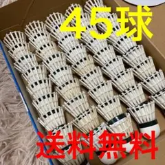 バドミントン　中古シャトル　羽切り落とし済み