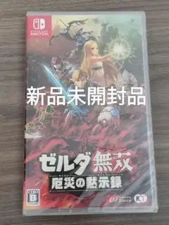 Switch ソフト ゼルダ無双 厄災の黙示録