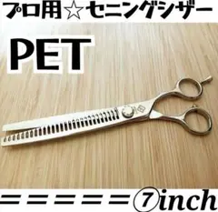 Item thumbnail for item 64d6d81e-758f-4cf9-b67f-2fbb932aec5e