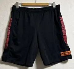 HERON PRESTON へロンプレストン　ロゴ　メッシュ　ショートパンツ