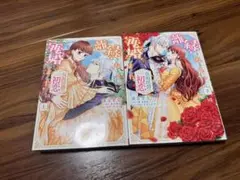 離縁されました。再婚しました。 仮面侯爵の初恋 上下セット