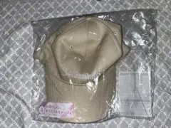 Item thumbnail for item 473533b4-f6aa-45cf-886a-f6a21a823533