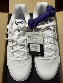 Item thumbnail for item 5457e2a8-d8fd-470c-845f-b3453c7b7e87