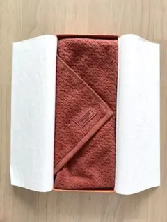 Item thumbnail for item dc8ed03f-b52f-400c-bafd-03386dc14813