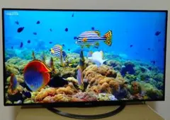 Item thumbnail for item d70e93da-4726-4877-8272-6e981d034d75