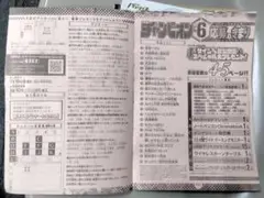 2枚 チャンピオン アンケート応募用紙 連載作家サイン色紙など