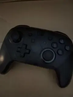 Nintendo Switch Pro Controller ブラック