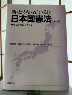 新・どうなっている!?日本国憲法: 憲法と社会を考える