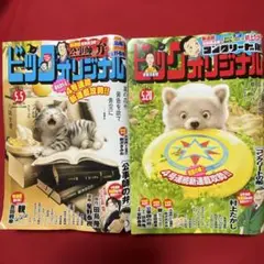ビックコミックオリジナル2025年5月5日号 2025年5月20日号 2冊