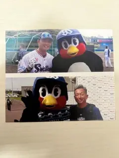 青木宣親 石川雅規 つば九郎 せるふぱちり