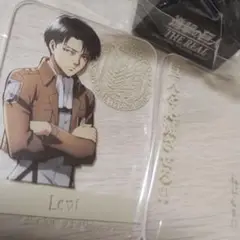 進撃の巨人 USJ　THE REAL LED フラッシュプレート　リヴァイ
