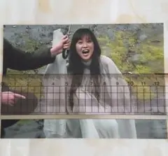 本田美奈子 L判写真 No.138