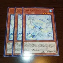 マルチャミープルリア 3枚