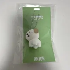 RIIZEアントンモンリョンイキーホルダー