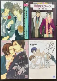だいぶ古い(2006年~2008年)BL4冊セット