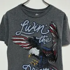 イーグルUS古着デザイン性・雰囲気・配色・柄 ◎グッドプリントTシャツ