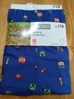 MINECRAFT ステテコ110