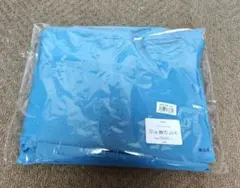 Item thumbnail for item dcafba63-45cc-4dfb-8e4c-e1fa6b364711