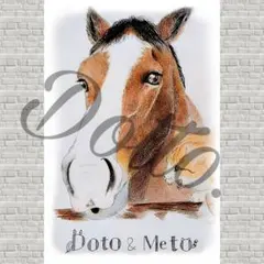 【メイショウドトウ &メト】No.19 イラスト ポストカード 色鉛筆画 競走馬