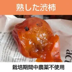 熟した渋柿