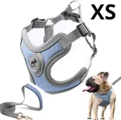 Item thumbnail for item 123e2349-cca6-4e1f-b9bd-20efd2633f49