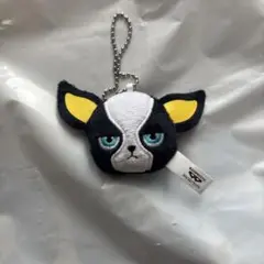 ジョジョの奇妙な冒険　イギー　マスコット