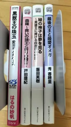 Hセット　bl小説まとめ売り　新書サイズ4冊