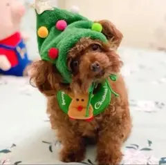 Item thumbnail for item 8d16c0cf-9073-4bda-abc1-2df2e7aab541