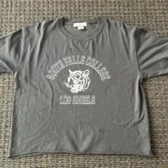 美品　セポ　tシャツ
