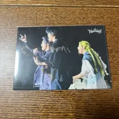 Mrs. GREEN APPLE Harmony カード 044
