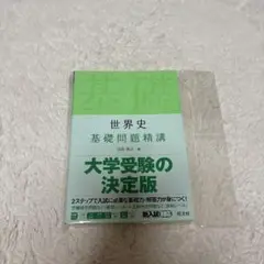 世界史 基礎問題精講 旺文社