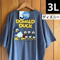 ディズニー　ドナルド ヒューイ デューイ ルー　サガラ　刺繍　3L 大きいサイズ