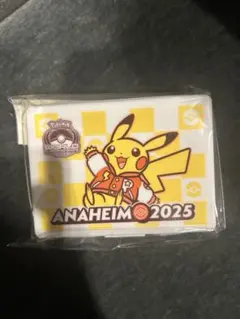WCS Anaheim 2025 ダメカンケース