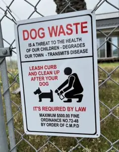 Item thumbnail for item d7fc7287-aff4-4eef-9044-1c04d09d98bc