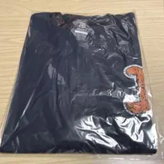 オリックスバファローズ　Ｔシャツ