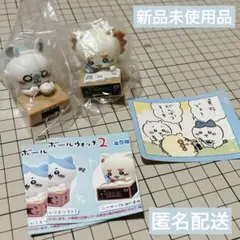 ちいかわ ダンボールウォッチ2 モモンガ シーサー ちいかわカレー シール