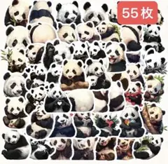 Item thumbnail for item 711871ed-b8d3-4abf-8791-3e01a629a013