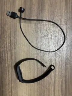 Xiaomi Smart Band 7＋充電ケーブル