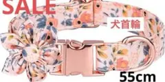 Item thumbnail for item 099143f3-14df-4b90-b19a-5909e23da851