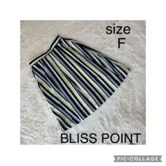 美品✨ブリスポイント ストライプ柄フレアスカートF