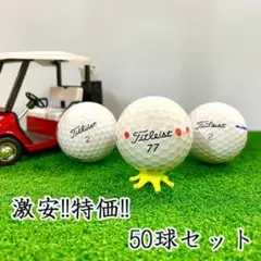 225・ロストボール タイトリスト色々 ホワイト 50球 マーカー入