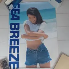 非売品★店頭用 資生堂 SEA BREEZE シーブリーズ 持田香織 ポスター Amazon.co.jp: 持田香織 Every Little Thing SEA BREEZE