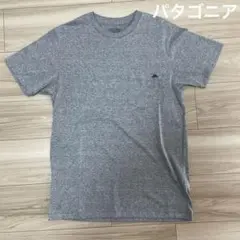 パタゴニアPATAGONIAフライングフィッシュポケットTシャツ　ポケT サーフ