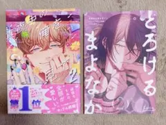 真夜中の俺を見て 2巻 アニメイトセット 有償特典 20P小冊子 付き