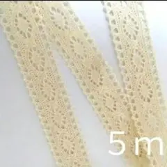 トーションレース　コットン　５M