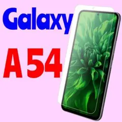 Galaxy A54 反射防止 ガラスフィルム 飛散防止 LN-23SG5FGM