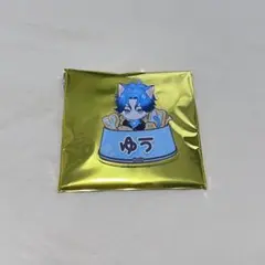 ナンジャタウン ネームバッジコレクション 新名有