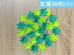 紅葉30枚(小) もみじ　みどり　新緑　施設　病院掲示板などに