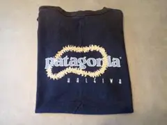 patagonia パタゴニア Haleiwa Tシャツ メンズ(S)ハワイ